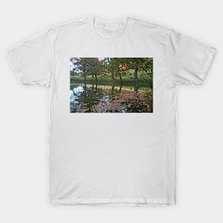 Autumn Reflections T-Shirt